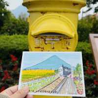 指宿：从长崎鼻去JR最南站打卡