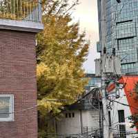 단풍과 어우러진 아기자기한 서울숲 데이트🍂🍁