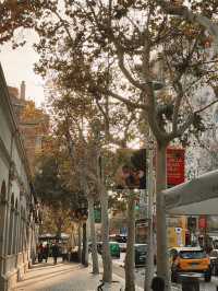 Barcelona in a Blink - Unmissable Stunning Sights