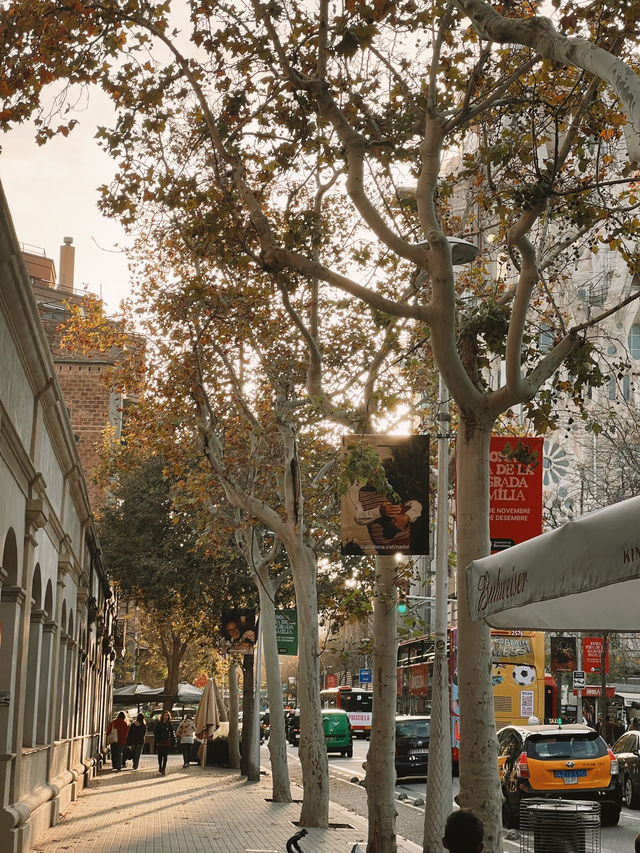 Barcelona in a Blink - Unmissable Stunning Sights