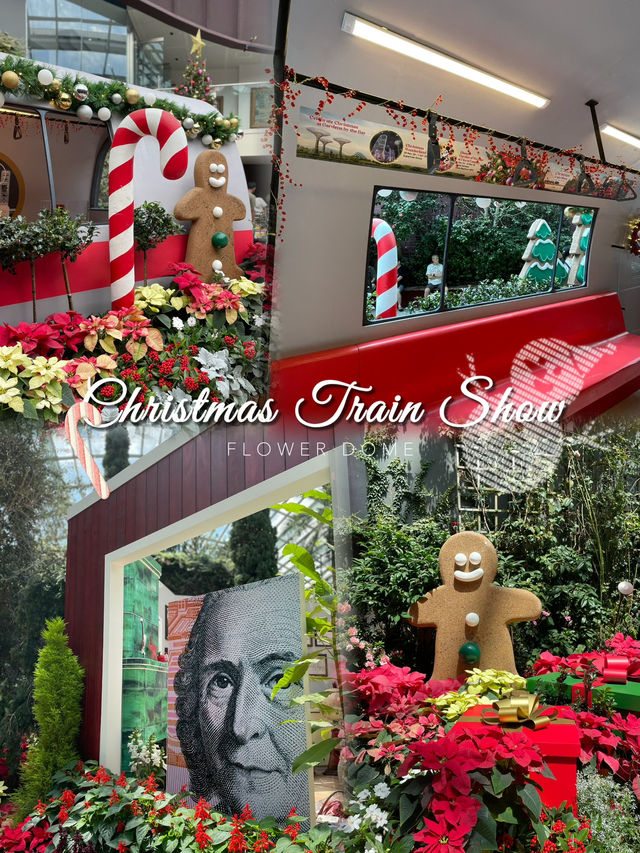 🎅🏻 Let’s hop onto the Christmas train now ! 🚂