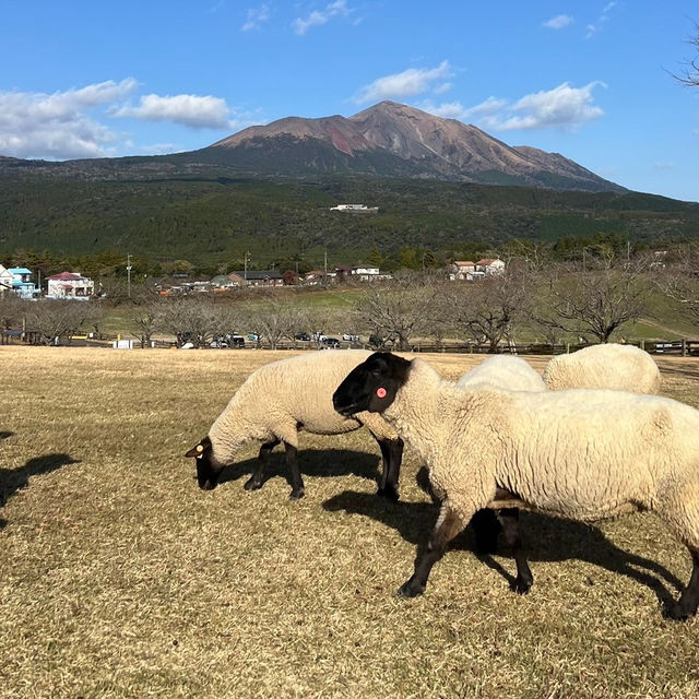 🇯🇵宮崎/高千穂牧場🐄極上ソフトクリーム！