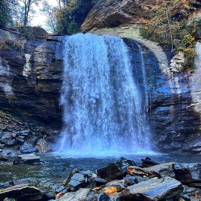 Pisgah National Forest