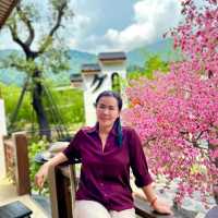 คาเฟ่สไตล์ญี่ปุ่นน่ารักที่สุดในจันทบุรี