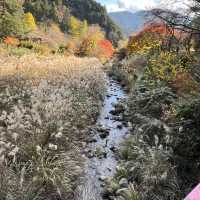 【鎧岳】関西百名山 & 【兜岳】