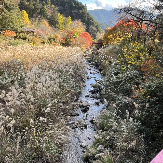 【鎧岳】関西百名山 & 【兜岳】