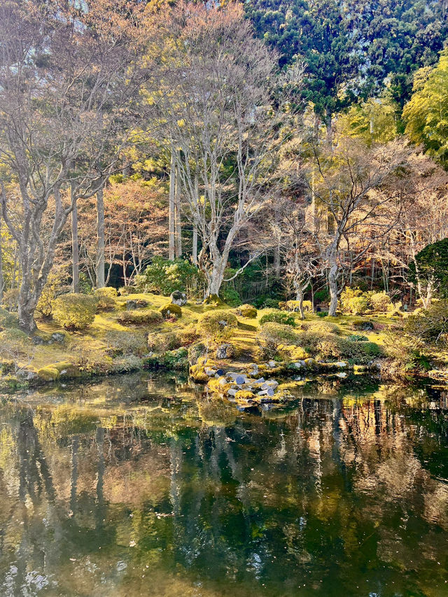 仙台松島円通院⛩️，靜謐的寺庙與美麗庭園