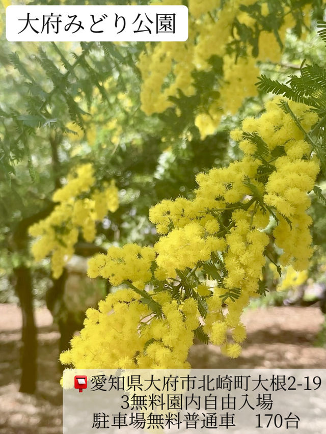 [愛知]お手軽に季節の花を楽しめるスポットBEST5