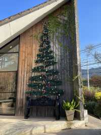 The Birder's Lodge Cafe🎄คาเฟ่คริสต์มาส📍เขาใหญ่