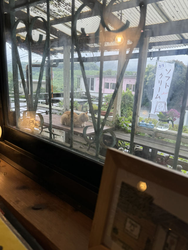 【福岡カフェ】太宰府の竈門神社参道にある可愛いカフェ☕️