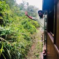 斯里蘭卡🇱🇰茶園火車