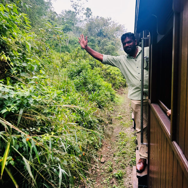 斯里蘭卡🇱🇰茶園火車