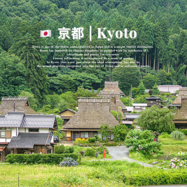 Kyoto - Osaka 15 โลเคชั่น ไม่มาถือว่าพลาดนะ!🇯🇵