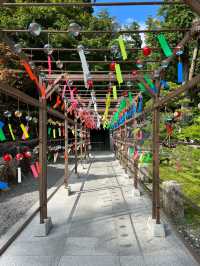 【静岡🇯🇵】風鈴が綺麗なお寺🎐