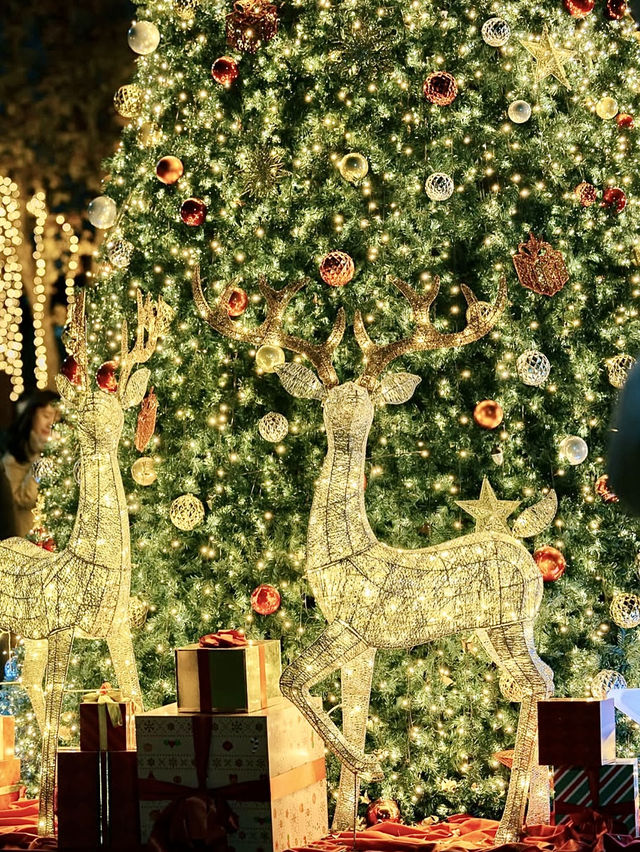 🎅예쁜 겨울 감성 옛 미군부대부지로 🇺🇸미국 느낌이 나는 용산 데이트 핫플❤️