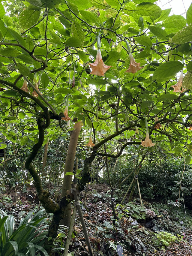 자연 속에서 식물과 힐링을, 국립세종수목원 🌲💕