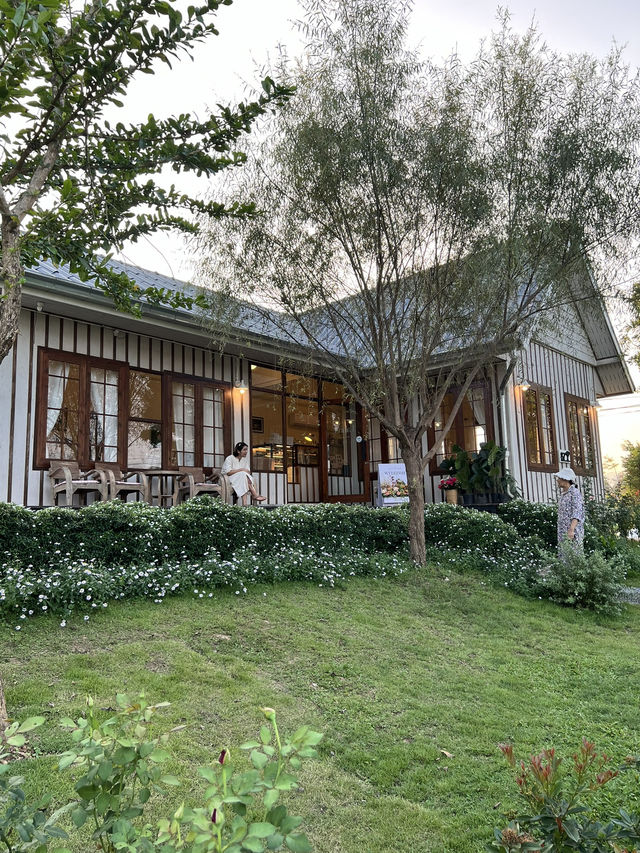 🧁คาเฟ่ในสวน สไตล์อังกฤษที่น่าน🌲🌷