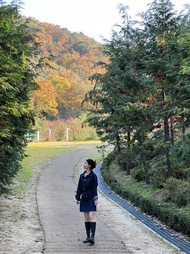 서울근교 단풍 명소! 가을을 느끼기 좋은 의정부 파크프리베 카페 