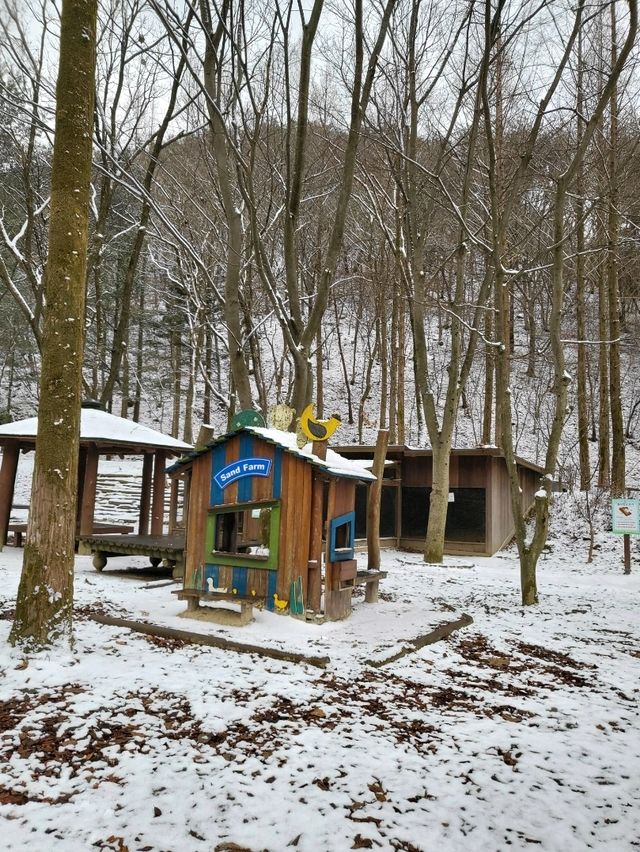 눈썰매장도 개장한 대전 겨울여행지