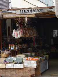 【大内宿】江戸時代にタイムスリップ！名物一本ネギ蕎麦🥢