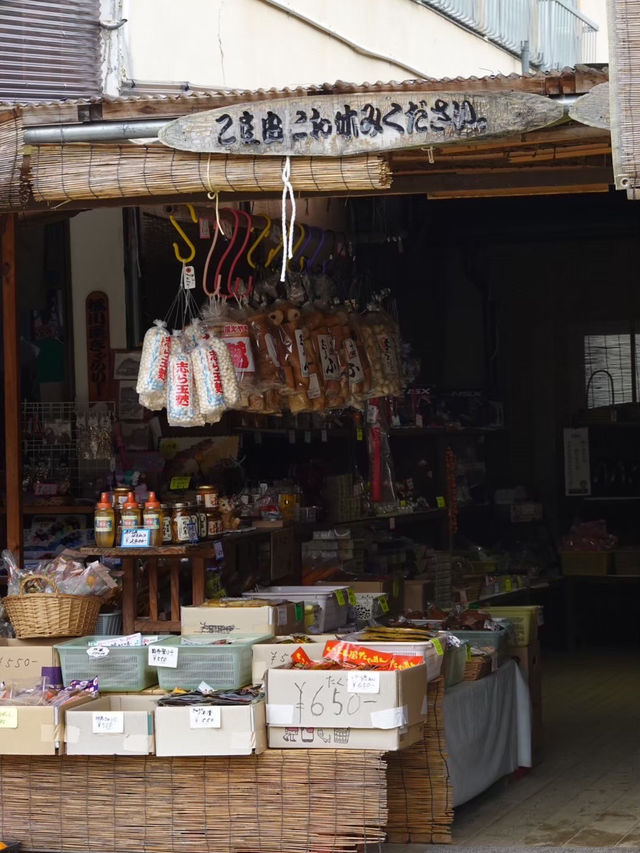 【大内宿】江戸時代にタイムスリップ！名物一本ネギ蕎麦🥢