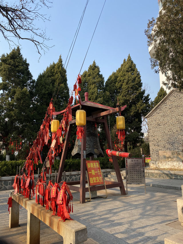 🇨🇳연태_연태산 공원에서 산책 한 번 해보세요 🇨🇳연태_연태산 공원에서 산책 한 번 해보세요