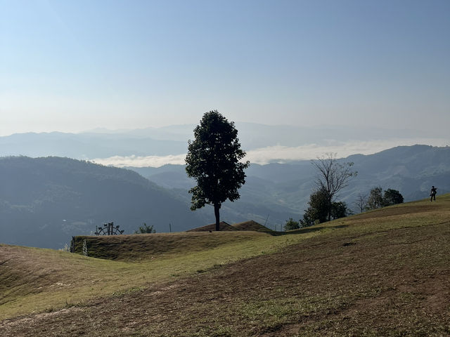  Akha Farmville  🐑⛰️☕️