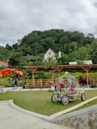 A Delightful Visit to Wisata Bukit Domba