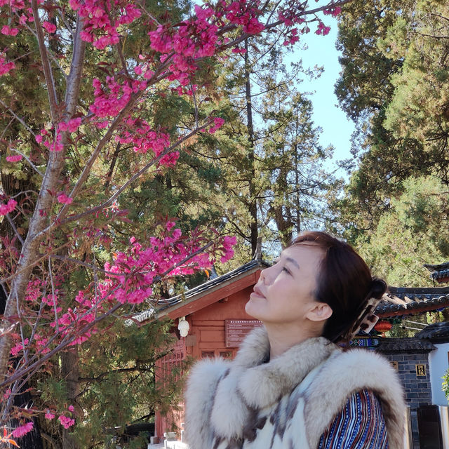 เมืองมรดกโลกลี่เจียง หนึ่งในเมืองที่ควรต้องเยือน