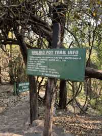 Boiling Pot Trail in Victoria falls🐒