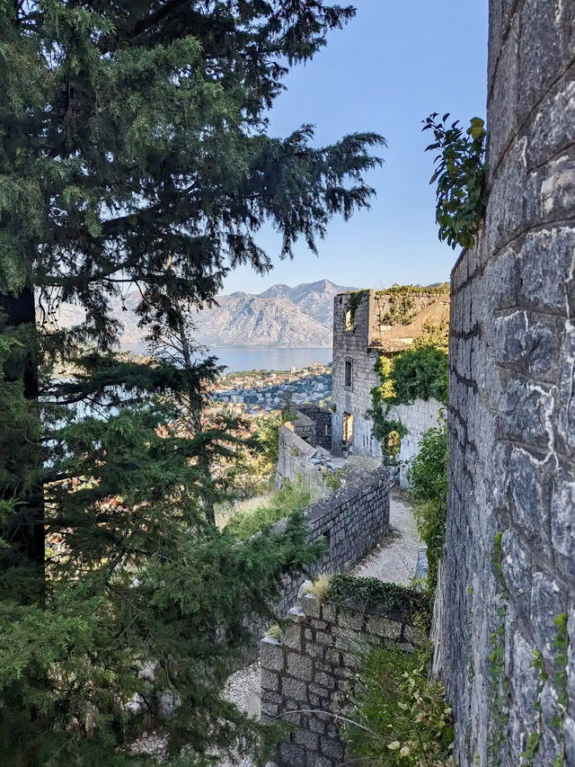 Kotor Fortress