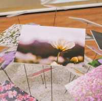 ไปชมดอกไม้ที่งาน ON THE GROUND🌺