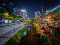 【ソウル】ソウル市民の憩いの場✨ 清渓川