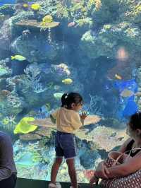 🇸🇬 S.E.A. Aquarium 🫧🪼🐠