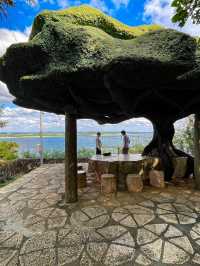 【宮古島】絶景を独り占め！来間島の穴場スポット🌳