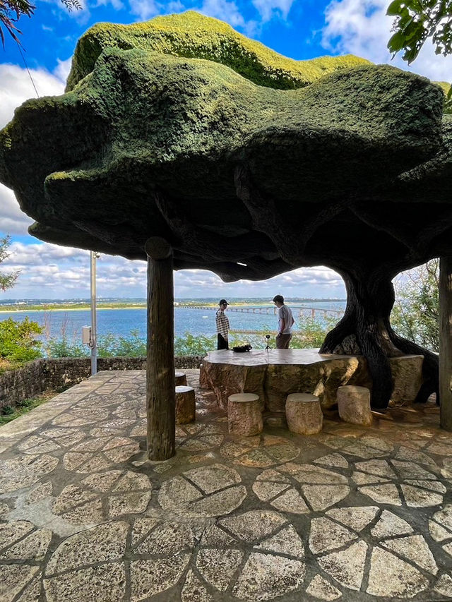 【宮古島】絶景を独り占め！来間島の穴場スポット🌳