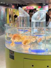 🇰🇷 Coex Aquarium, Seoul 🪼🐠🫧