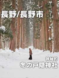 【長野／長野市】雪が降る戸隠神社の杉並木と中社⁡