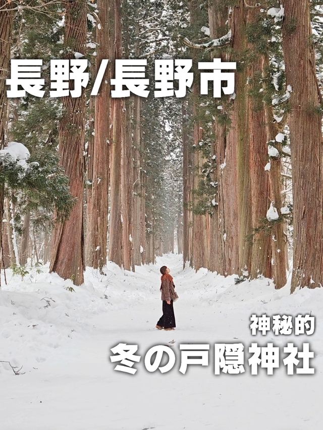 【長野／長野市】雪が降る戸隠神社の杉並木と中社⁡