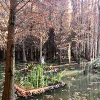Kunming: The Destination You Didn't Know You Needed