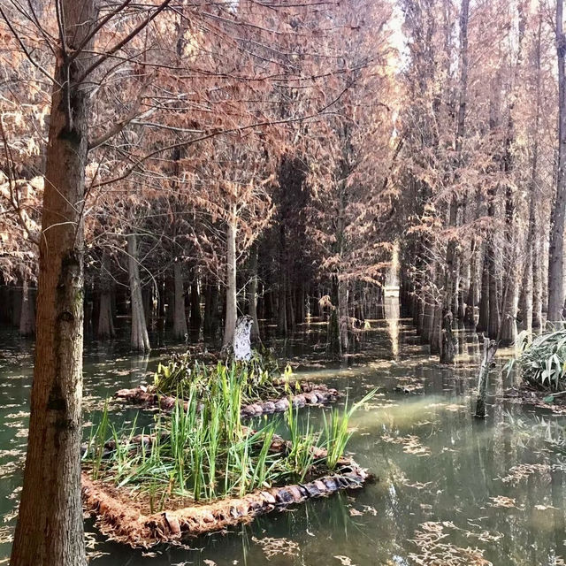 Kunming: The Destination You Didn't Know You Needed
