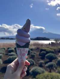 Oishi Park: Stunning Views of Mount Fuji Unobstructed