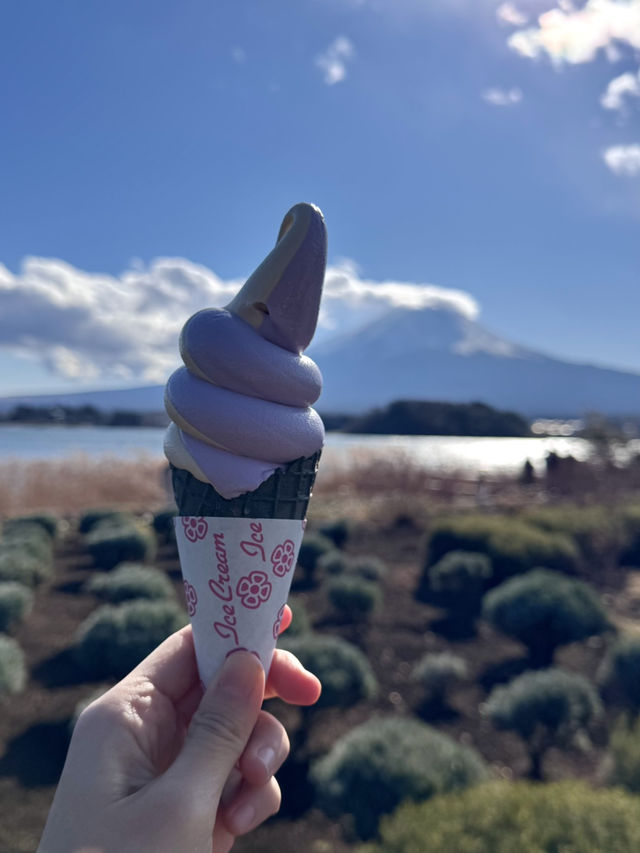 Oishi Park: Stunning Views of Mount Fuji Unobstructed