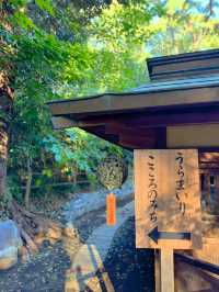 【神奈川】馬好きさんはここ行って🐴ご利益たくさんなパワースポット