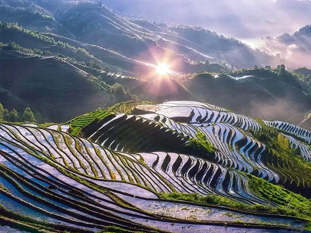 Longsheng Rice Terraces