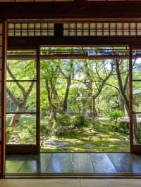 【岡山県/倉敷市】天井から文字が降ってくる