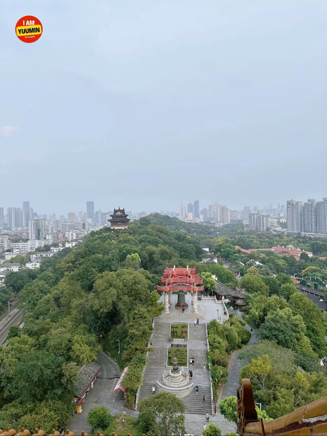 หอนกกระเรียนเหลือง - อู๋ฮั่น🇨🇳