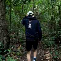 น้ำตกห้วยตึงเฒ่า: น้ำตกกลางป่าในเชียงใหม่ 🌳
