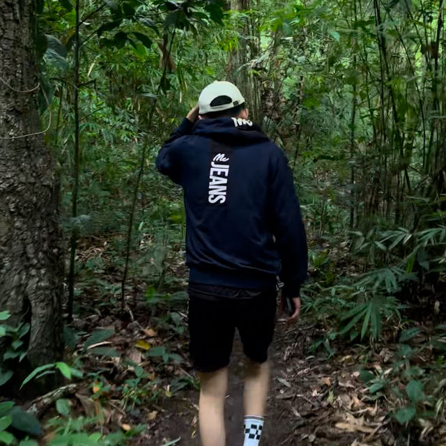 น้ำตกห้วยตึงเฒ่า: น้ำตกกลางป่าในเชียงใหม่ 🌳