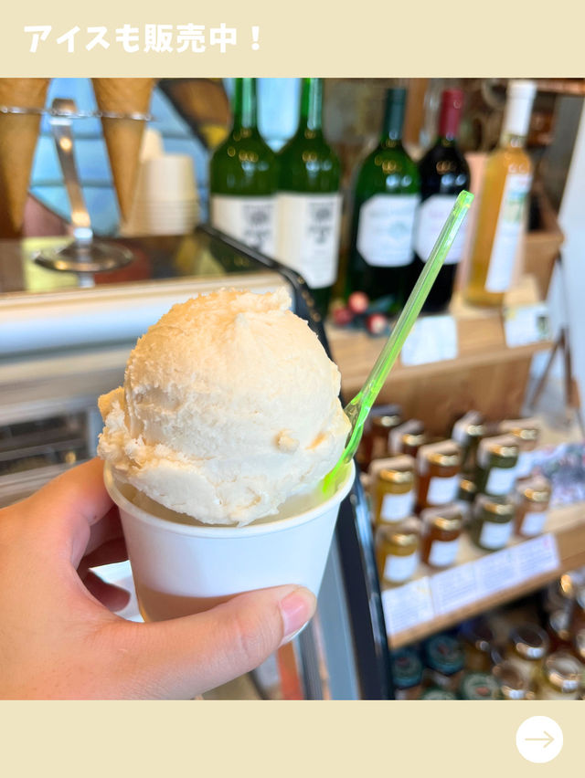 【福岡旅行】ローカルに人気の行列店！美味しい物だらけの珍しいドイツパン屋さん！